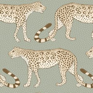 Leopard Walk 109-2009