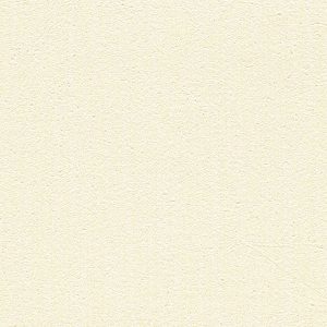 3905-CR-Paperwhite